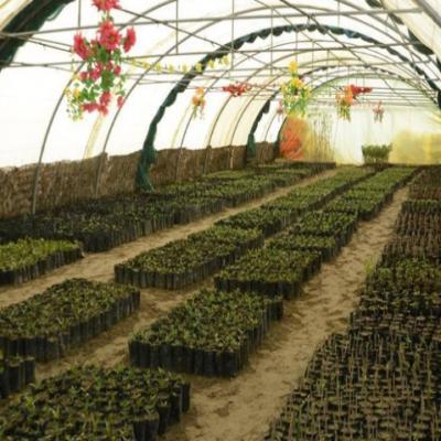 201708170213201320 1