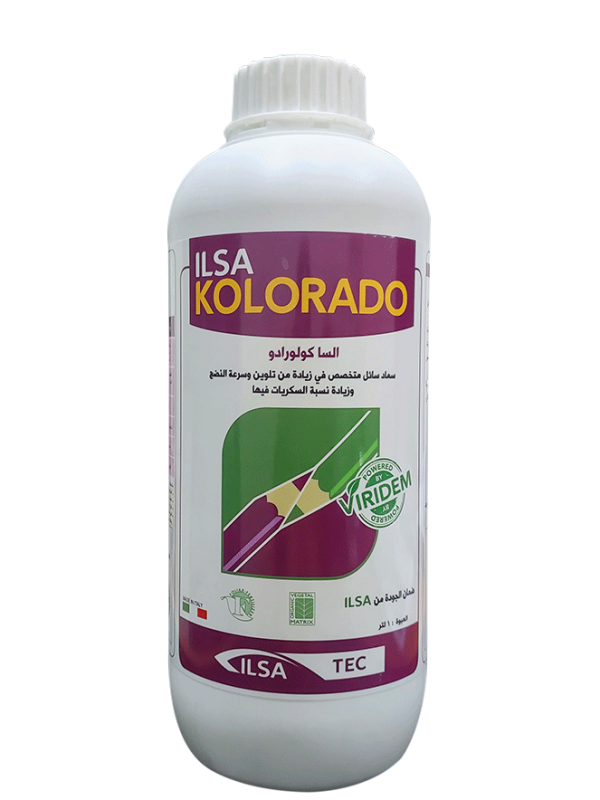 السا كولورادو 