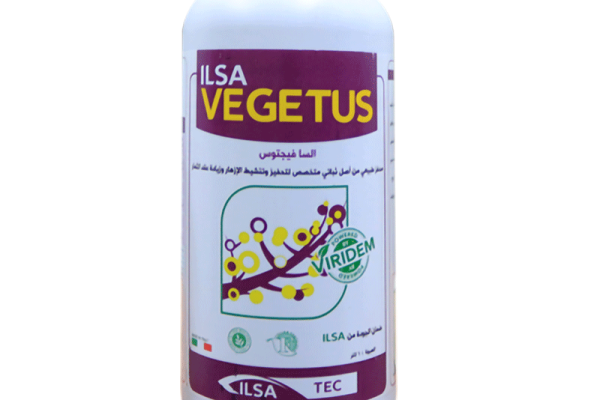 السا فيجتوس