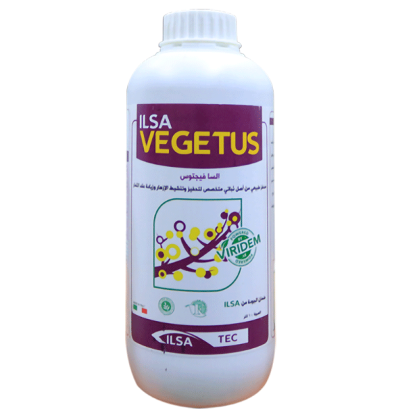 السامين كالسيو  