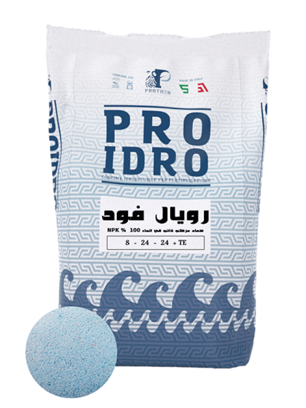 رويال فود 8-24-24